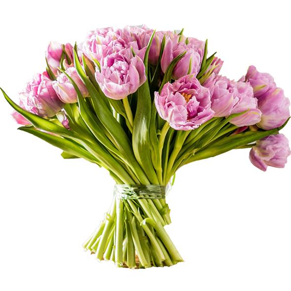 Pink buket flora